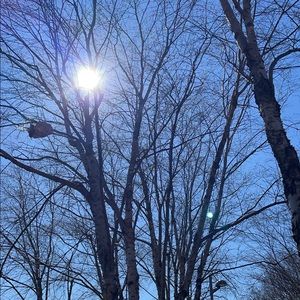 Meet your Posher, Cagla